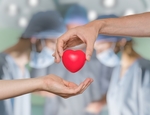 Conheça a lei de doação de órgãos e transplante no Brasil