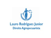 Lauro Rodrigues Junior