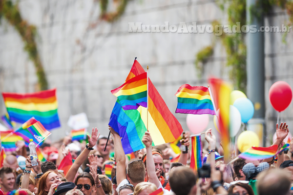 Contra a Homofobia: conquistas e desafios legais