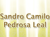Advogado Sandro Camilo T. H. P. Leal