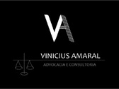 Fábio Vinicius do Amaral Silva