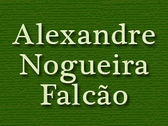 Alexandre Nogueira Falcão