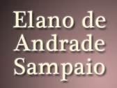 Elano De Andrade Sampaio
