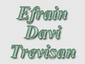 Efrain Davi Trevisan