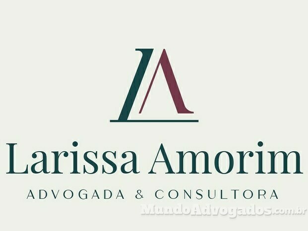 Larissa Amorim Advogada e Consultora