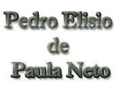 Pedro Elisio De Paula Neto